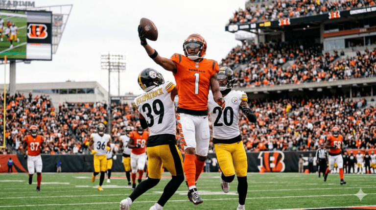 Pittsburgh Steelers vs Bengals Match Player Stats